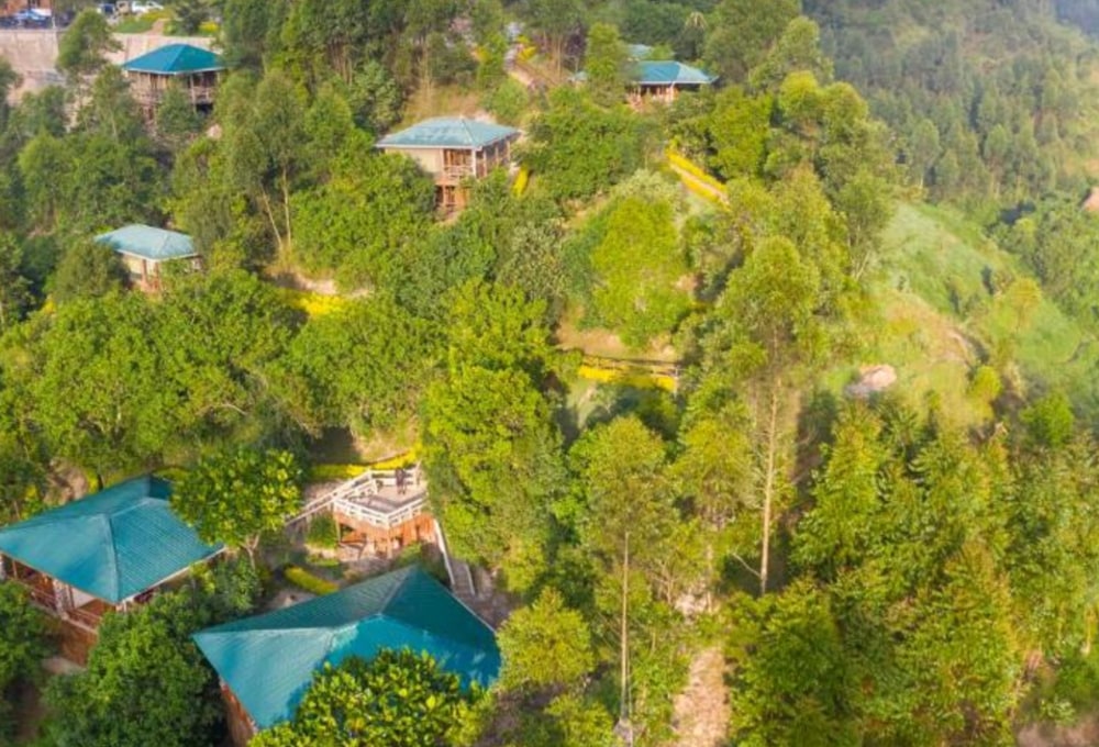 Rushaga Gorilla Lodge